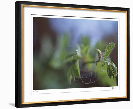 Laced-Michelle Wermuth-Framed Giclee Print