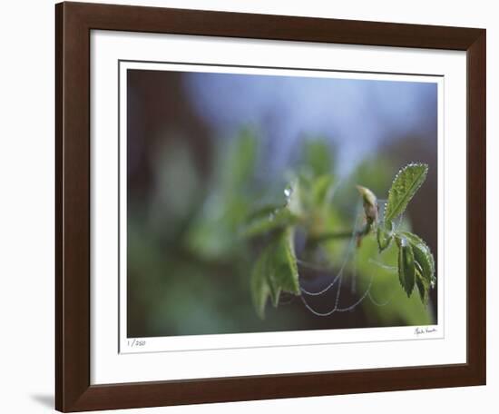 Laced-Michelle Wermuth-Framed Giclee Print