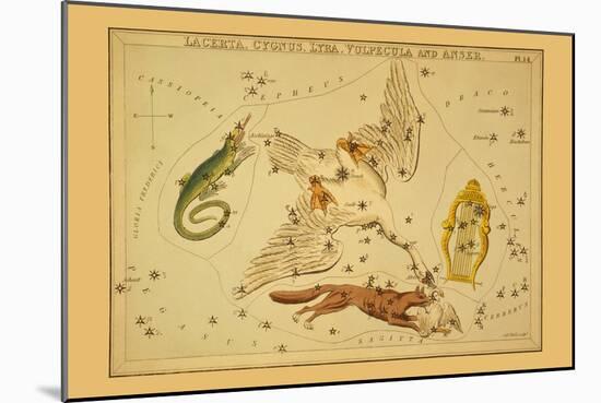 Lacerta, Cygnus, Lyra, Vulpecula and Anser-Aspin Jehosaphat-Mounted Art Print