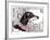 Lacey the Dachshund, 2013-Jo Chambers-Framed Giclee Print