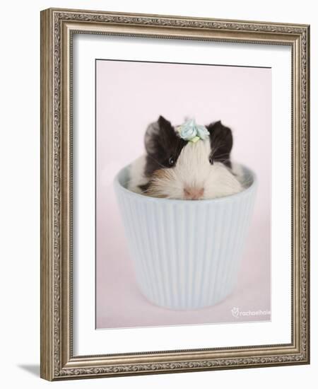 Lacey-Rachael Hale-Framed Art Print