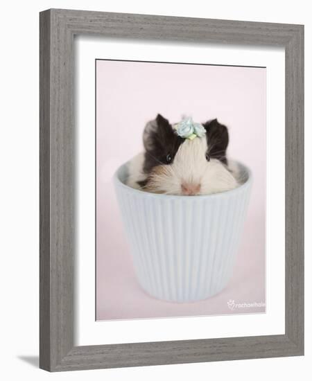 Lacey-Rachael Hale-Framed Art Print