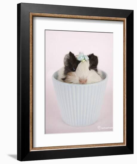 Lacey-Rachael Hale-Framed Premium Giclee Print