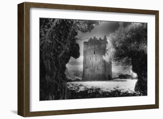 Lackeen Castle, County Tipperary, Ireland-Simon Marsden-Framed Giclee Print