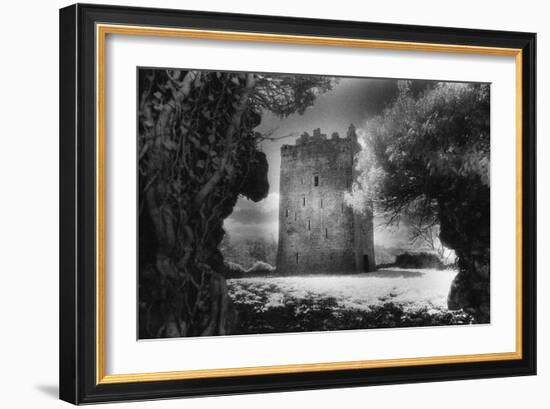 Lackeen Castle, County Tipperary, Ireland-Simon Marsden-Framed Giclee Print