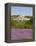 Lacoste and Lavender Fields, Luberon, Vaucluse Provence, France-Doug Pearson-Framed Premier Image Canvas