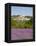 Lacoste and Lavender Fields, Luberon, Vaucluse Provence, France-Doug Pearson-Framed Premier Image Canvas