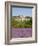 Lacoste and Lavender Fields, Luberon, Vaucluse Provence, France-Doug Pearson-Framed Photographic Print