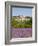 Lacoste and Lavender Fields, Luberon, Vaucluse Provence, France-Doug Pearson-Framed Photographic Print