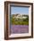 Lacoste and Lavender Fields, Luberon, Vaucluse Provence, France-Doug Pearson-Framed Photographic Print