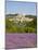 Lacoste and Lavender Fields, Luberon, Vaucluse Provence, France-Doug Pearson-Mounted Photographic Print