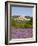 Lacoste and Lavender Fields, Luberon, Vaucluse Provence, France-Doug Pearson-Framed Photographic Print