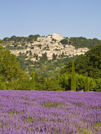 Lacoste and Lavender Fields, Luberon, Vaucluse Provence, France'  Photographic Print - Doug Pearson | Art.com