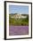 Lacoste and Lavender Fields, Luberon, Vaucluse Provence, France-Doug Pearson-Framed Photographic Print