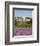 Lacoste and Lavender Fields, Luberon, Vaucluse Provence, France-Doug Pearson-Framed Photographic Print