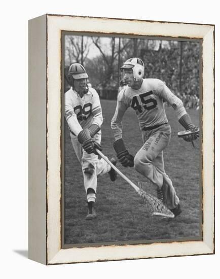 Lacrosse Game Between Johns Hopkins and Virginia-null-Framed Premier Image Canvas