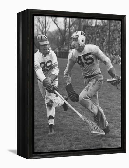 Lacrosse Game Between Johns Hopkins and Virginia-null-Framed Premier Image Canvas