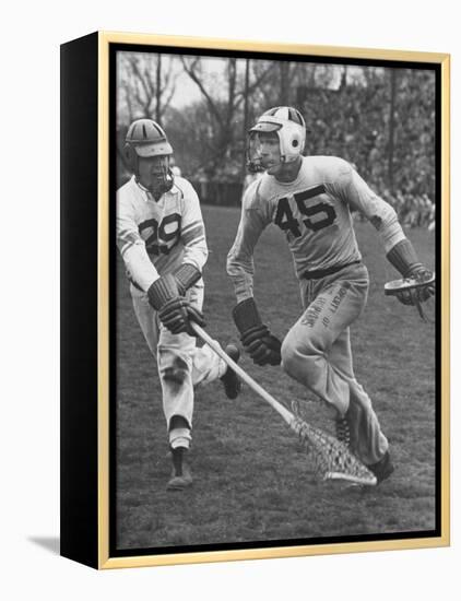 Lacrosse Game Between Johns Hopkins and Virginia-null-Framed Premier Image Canvas