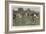 Lacrosse-Ernest Prater-Framed Giclee Print