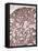 Lactating Breast Tissue, Light Micrograph-Steve Gschmeissner-Framed Premier Image Canvas