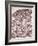 Lactating Breast Tissue, Light Micrograph-Steve Gschmeissner-Framed Photographic Print