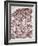 Lactating Breast Tissue, Light Micrograph-Steve Gschmeissner-Framed Photographic Print