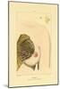 Lactation, 1833-39-null-Mounted Giclee Print