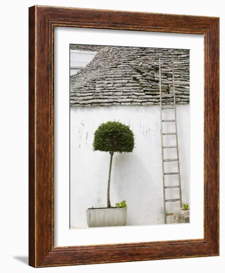 Ladder and Potted Tree, Trulli Houses, Alberobello, Puglia, Italy-Walter Bibikow-Framed Photographic Print