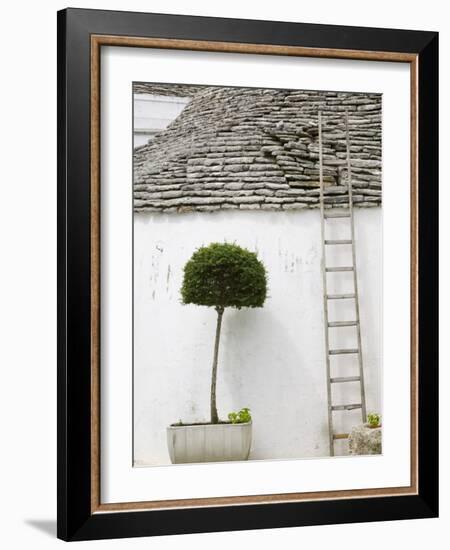 Ladder and Potted Tree, Trulli Houses, Alberobello, Puglia, Italy-Walter Bibikow-Framed Photographic Print