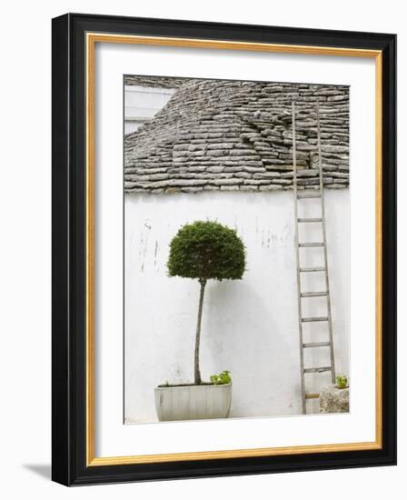 Ladder and Potted Tree, Trulli Houses, Alberobello, Puglia, Italy-Walter Bibikow-Framed Photographic Print