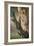 Ladder Back Woodpecker-Ike Leahy-Framed Photographic Print