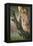 Ladder Back Woodpecker-Ike Leahy-Framed Premier Image Canvas