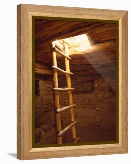 Ladder in a Kiva in Mesa Verde National Park, Colorado-Greg Probst-Framed Premier Image Canvas