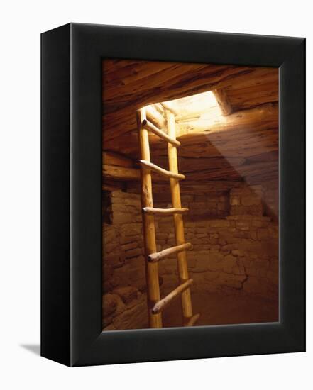 Ladder in a Kiva in Mesa Verde National Park, Colorado-Greg Probst-Framed Premier Image Canvas