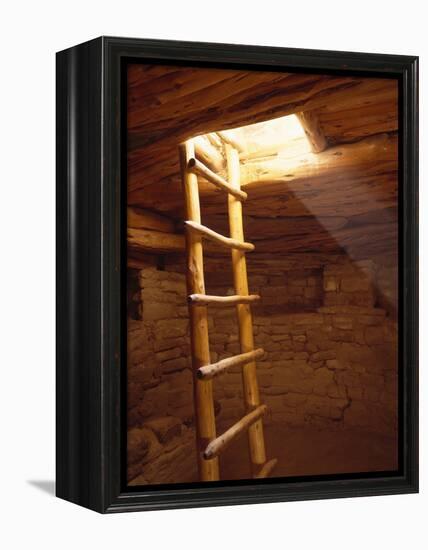 Ladder in a Kiva in Mesa Verde National Park, Colorado-Greg Probst-Framed Premier Image Canvas