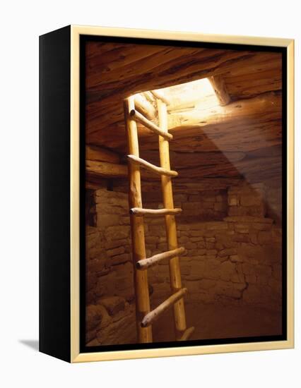 Ladder in a Kiva in Mesa Verde National Park, Colorado-Greg Probst-Framed Premier Image Canvas