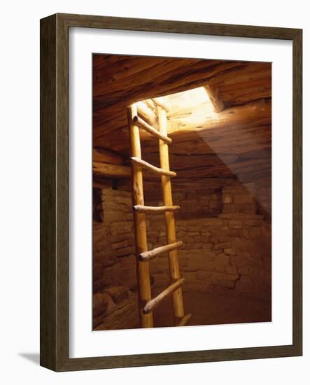 Ladder in a Kiva in Mesa Verde National Park, Colorado-Greg Probst-Framed Photographic Print