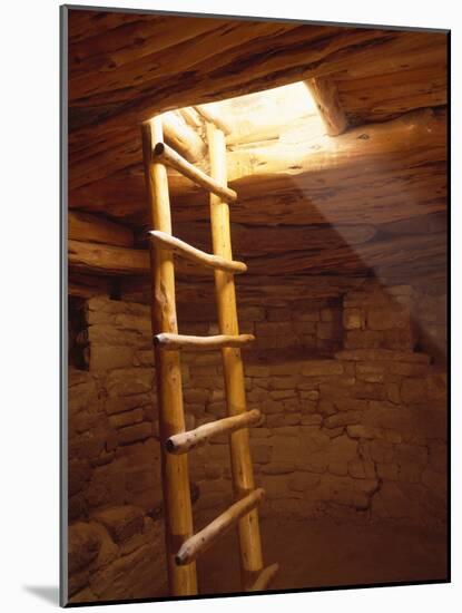 Ladder in a Kiva in Mesa Verde National Park, Colorado-Greg Probst-Mounted Photographic Print