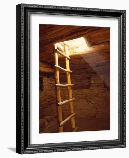 Ladder in a Kiva in Mesa Verde National Park, Colorado-Greg Probst-Framed Photographic Print