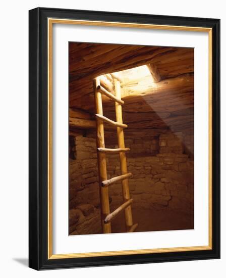 Ladder in a Kiva in Mesa Verde National Park, Colorado-Greg Probst-Framed Photographic Print