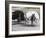 Laden Donkeys, Pal-Kotal-I-Guk, Between Chakhcharan and Jam, Afghanistan-Jane Sweeney-Framed Photographic Print