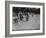 Ladies Bowling Club-null-Framed Photographic Print