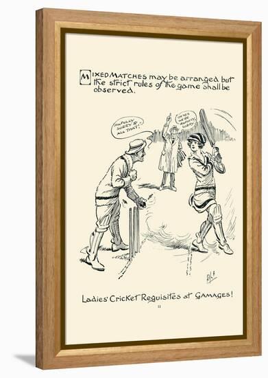 Ladies Cricket Requisites-null-Framed Stretched Canvas