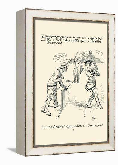 Ladies Cricket Requisites-null-Framed Stretched Canvas