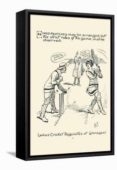 Ladies Cricket Requisites-null-Framed Stretched Canvas