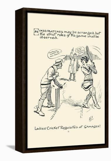 Ladies Cricket Requisites-null-Framed Stretched Canvas
