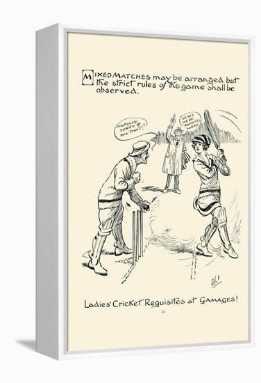 Ladies Cricket Requisites-null-Framed Stretched Canvas