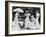 Ladies' Garden Party, 1934-null-Framed Photographic Print