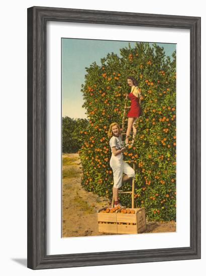 Ladies Picking Oranges, Florida-null-Framed Art Print