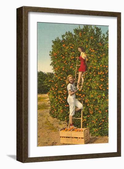 Ladies Picking Oranges, Florida-null-Framed Art Print